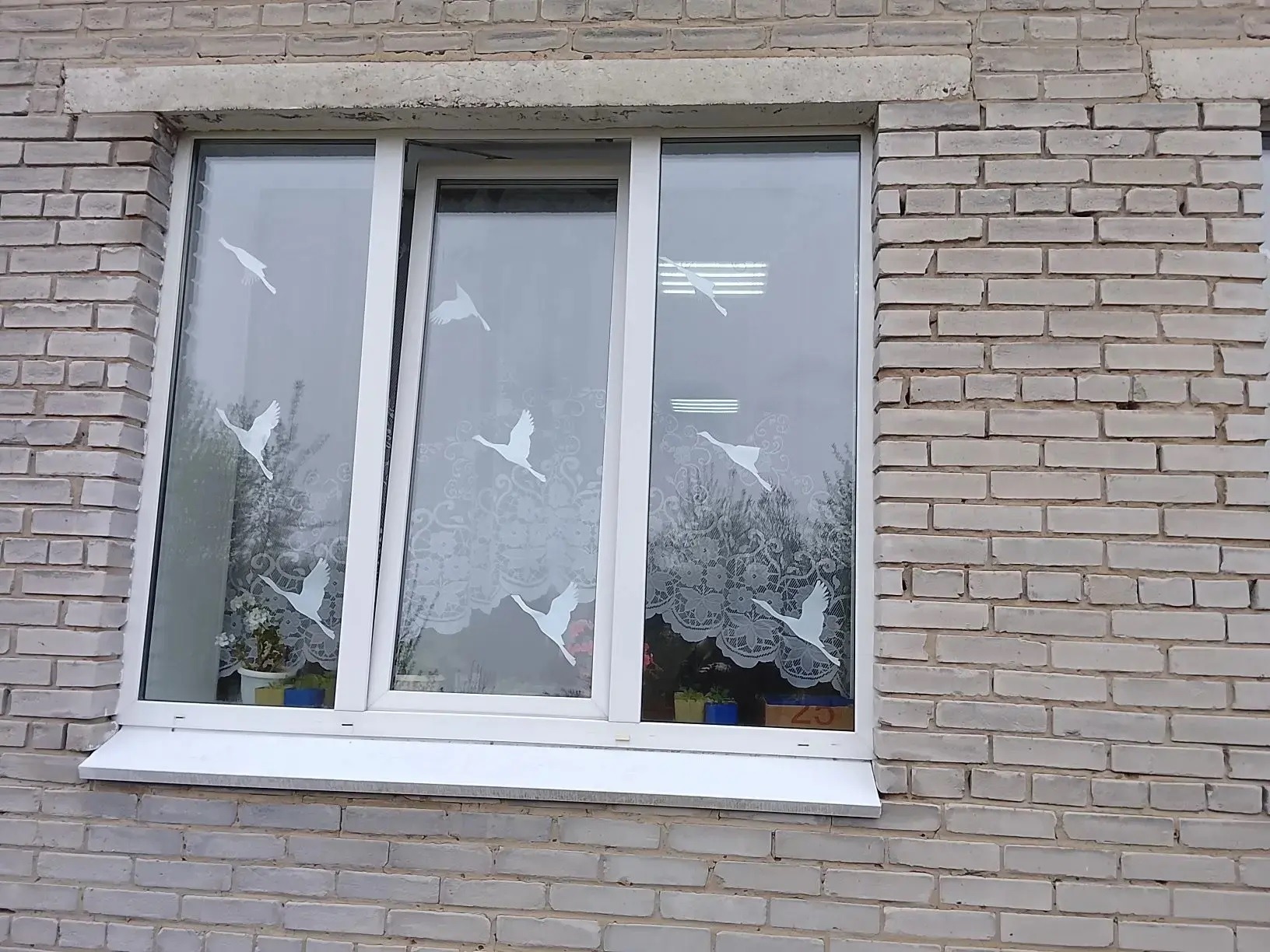 Акция &amp;quot;Окна Победы&amp;quot;!.
